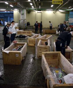 Tsukiji Markt Tokio