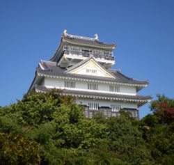 Gifu Burg